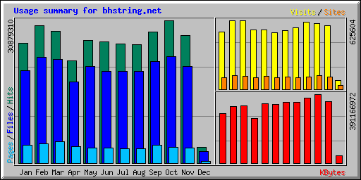 Usage summary for bhstring.net